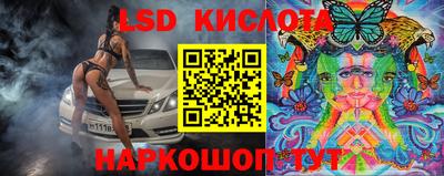 спиды Кузнецк