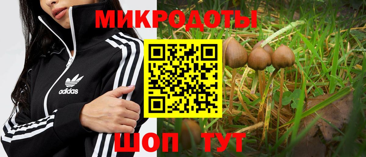 Псилоцибиновые грибы Magic Shrooms Ивантеевка