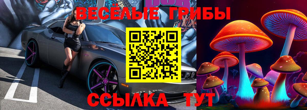 Ивантеевка  Галлюциногенные грибы прущие грибы  магазин продажи наркотиков  Вход с VPN  Галлюциногенные грибы MAGIC MUSHROOMS 